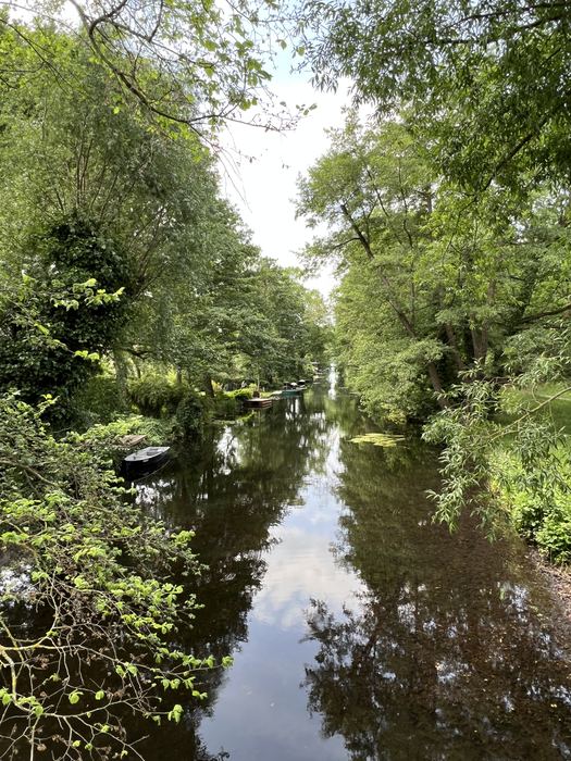 A tree-lined canal reflecting the sky at Hasengraben in Berlin